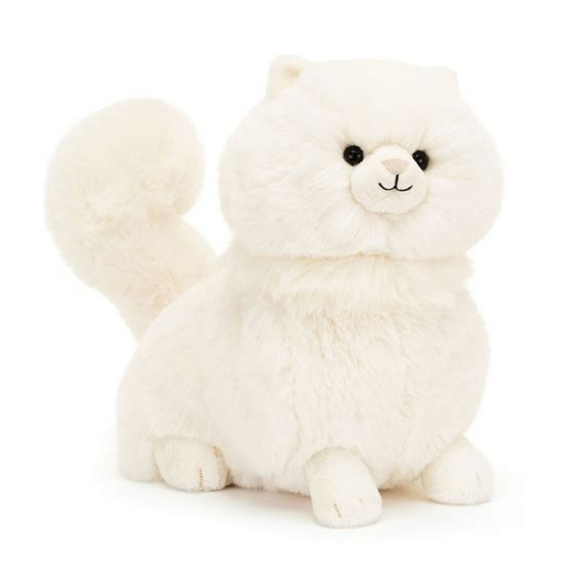 Carissa Persian Cat
